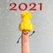 Funny finger with a face in a winter hat. 2021 lettering