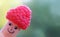 Funny finger puppet with raspberry hat