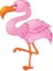 Funny flamingo bird