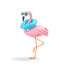 Funny flamingo in sunglasses with inflatable ring isolated on white. Clipping path included