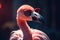 Funny flamingo wearing sunglasses in studio with a colorful and bright background. Generative AI