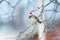 funny fluffy Sparrow in a festive red hat sitting on the branches covered with white frost in the Christmas Park