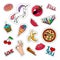 Funny food stickers set