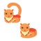 Funny Foxy Cats Icons Vector Set. on white background.