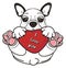 Funny french bulldog hold a heart in his pwas