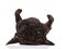 Funny french bulldog lies on its back