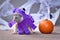 Funny French Bulldog puppy wearing Halloween octopus dog costume with funny eyes