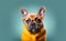 Funny French bulldog wearing glasses