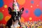 Funny and friendly boston terrier wearing a brithday party hat in studio, on a vibrant, colorful background. Generative