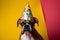 Funny and friendly cute boxer wearing a brithday party hat in studio, on a vibrant, colorful background. Generative AI