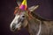 Funny and friendly cute donkey or mule wearing a brithday party hat in studio, on a vibrant, colorful background. Generative AI
