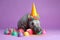 Funny and friendly cute hippopotamus wearing a brithday party hat in studio, on a vibrant, colorful background. Generative AI