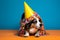 Funny and friendly cute Pembroke Welsh Corgi wearing a birthday party hat in studio, on a vibrant, colorful background.