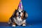 Funny and friendly cute Pembroke Welsh Corgi wearing a birthday party hat in studio, on a vibrant, colorful background.