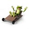 Funny frog - character