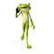 Funny frog - character