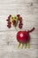 Funny fruit dog compiled on wooden desk