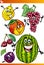 Funny fruits cartoon illustration set