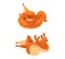 Funny Furry Squirrel Animal with Bushy Tail and Orange Coat Cuddling and Rolling on Its Back Vector Set