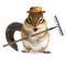 Funny gardener animal, chipmunk with rake and hat isolated on white