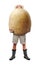 Funny gardener carrying a large potato.