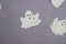 Funny ghosts drawn on the leaves of a poplar tree