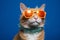 Funny ginger cat in orange sunglasses on blue background, closeup