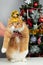 Funny ginger cat with Tiger hat, Christmas tree, celebrating Chinese New year