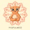 A funny ginger yogi kitten sits in a lotus pose.