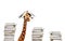 Funny giraffe with piles and book on head look