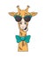 Funny giraffe with sunglasses cool style
