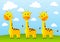 Funny giraffes