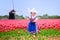 Funny girl in Dutch costume in tulips field with windmill