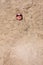 Funny girl playing buried in beach sand smiling sunglasses