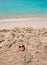 Funny girl playing buried in beach sand smiling sunglasses