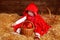 Funny girl is sitting on pile of straw with a basket. Little Red