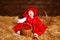 Funny girl is sitting on pile of straw with a basket. Little Red