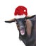 Funny goat wearing a santa claus  hat