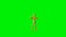 Funny golden mannequin dancing macarena, seamless loop, Green Screen