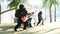 Funny gorillas and monkeys play on guitar and drums. Rock party on sunny seaside. Realistic 4K animation.