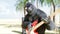 Funny gorillas and monkeys play on guitar and drums. Rock party on sunny seaside. Realistic 4K animation.