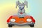a funny gray dog in a red convertible with a mosquito