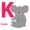 Funny Gray Koala on Letter K Alphabet Art Poster