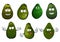 Funny green avocado fruits cartoon