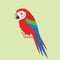 Funny green winged macaw