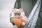 Funny grey cat sitting in shoulder cat bag carrier in owner arms outdoors