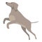 Funny greyhound icon cartoon vector. Animal dog