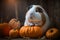 Funny guinea pig sits between pumpkins