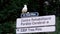 A funny gull sits on a signpost on the edge of the road. Spain, Barcelona. Birds, life by the sea, the power of nature