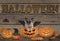 Funny halloween bat pug dog and pumpkin lanterns on wooden background with letters Halloween